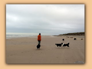 Am Kjul Strand (2).jpg